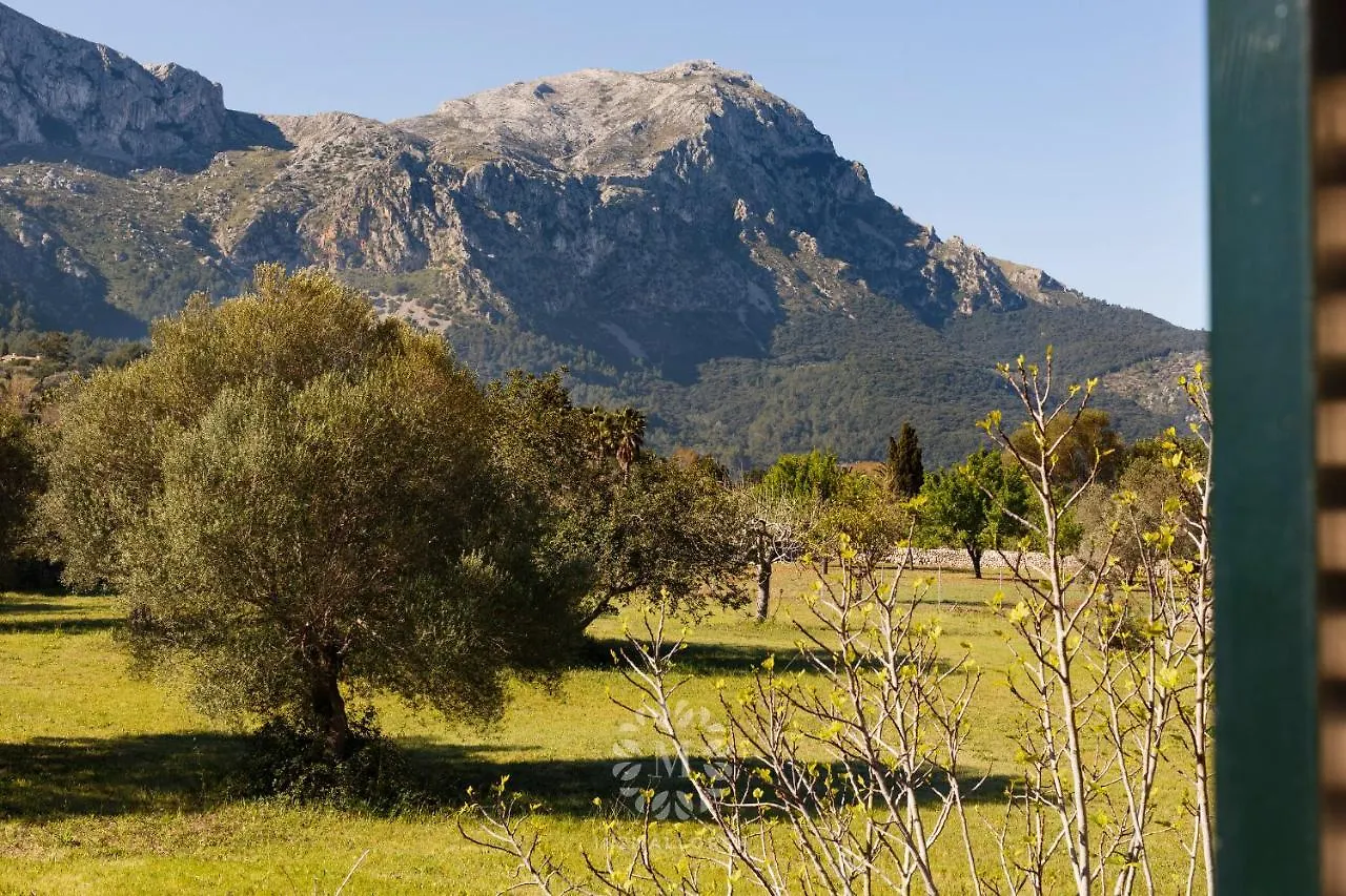Semesterbostad Villa Can Peric With Pool Quiet And Spacious Wifi Pollença Spanien